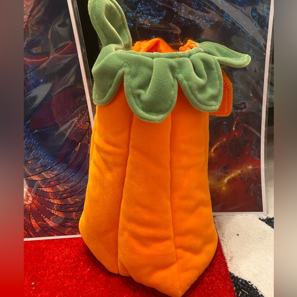 Pumpkin Dog Costume - Old Navy Dog Supply Co. Size S